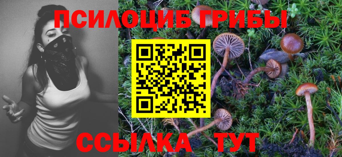 Гагарин  Псилоцибиновые грибы MAGIC MUSHROOMS  Вход с VPN  Галлюциногенные грибы мухоморы 
