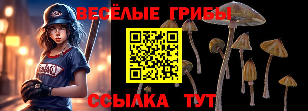 Галлюциногенные грибы ЛСД Гагарин